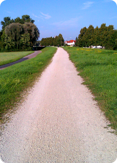 Path/Weg